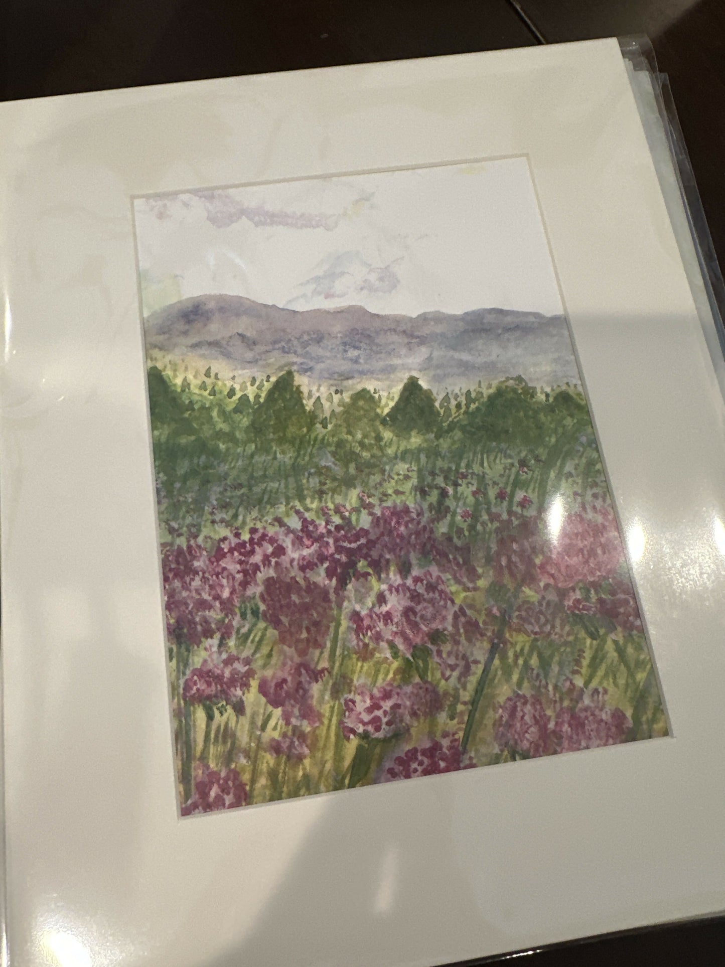 5x7 Print matted to 8x10 Beautiful Blue Ridge