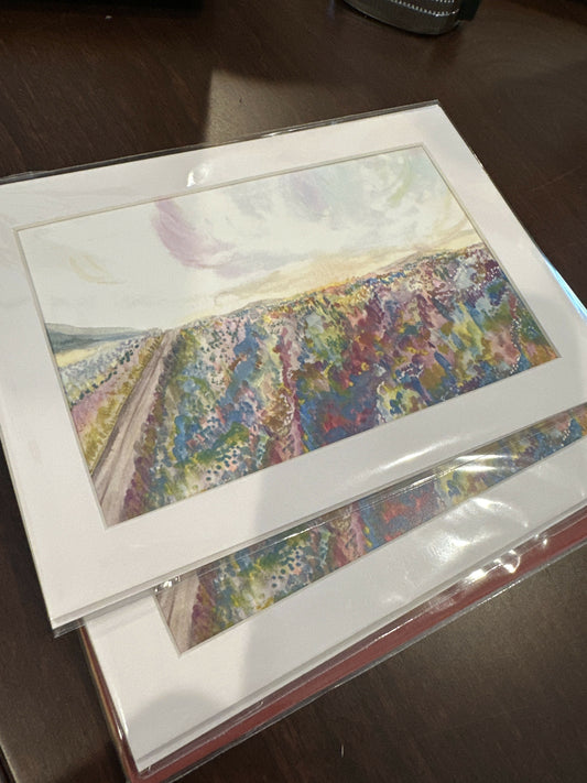 4x6 Print matted to 5x7 “Field of Beauties”