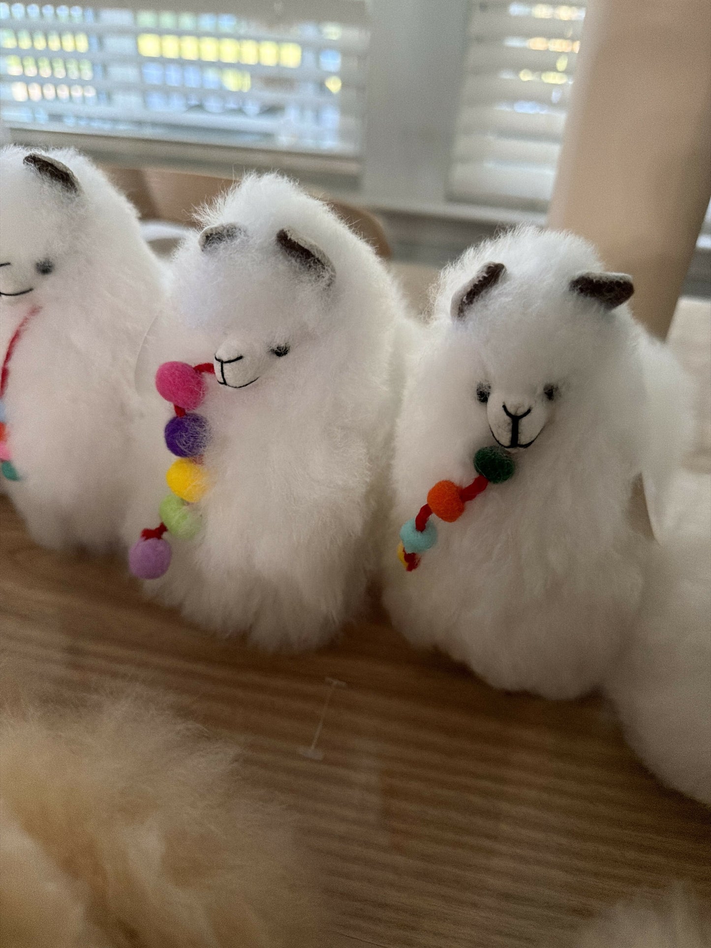 Big Alpaca