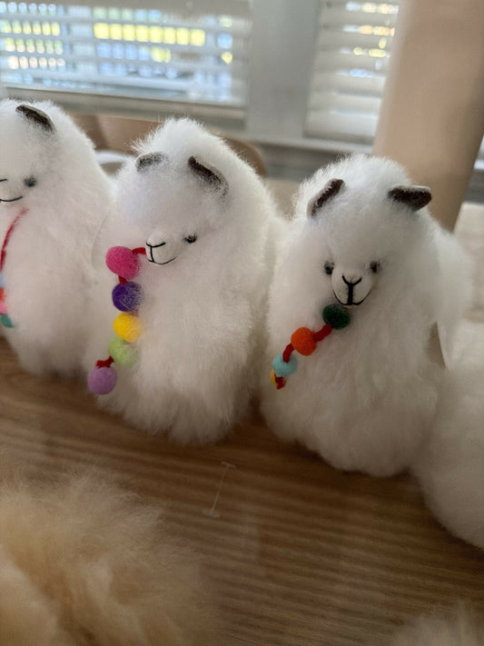 Big Alpaca