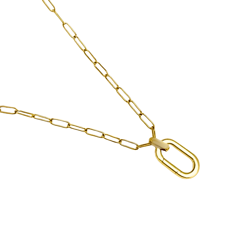 Lexi Charm Collect and Paperclip 18" Waterproof Necklace PVD