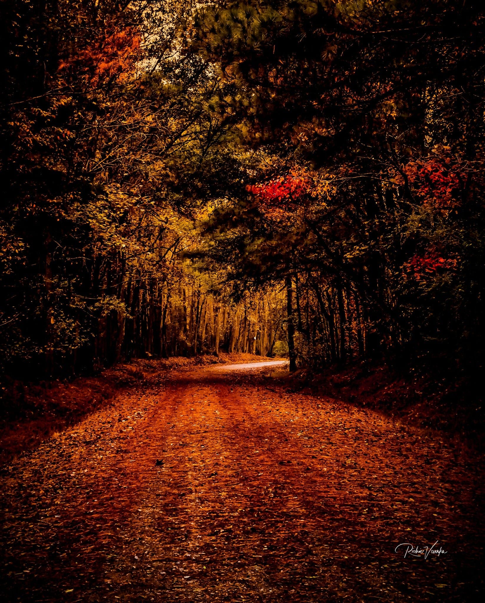 Autumn