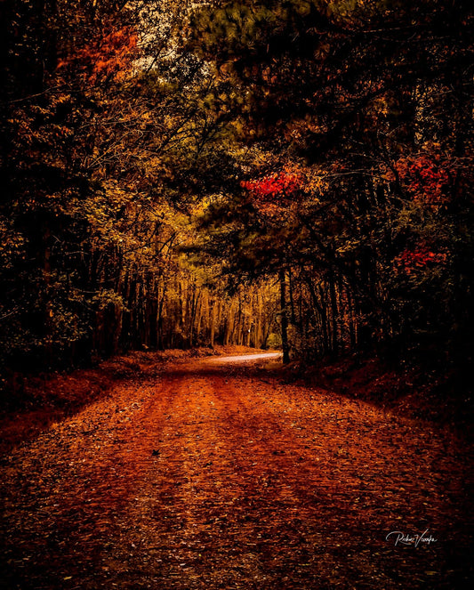 Autumn