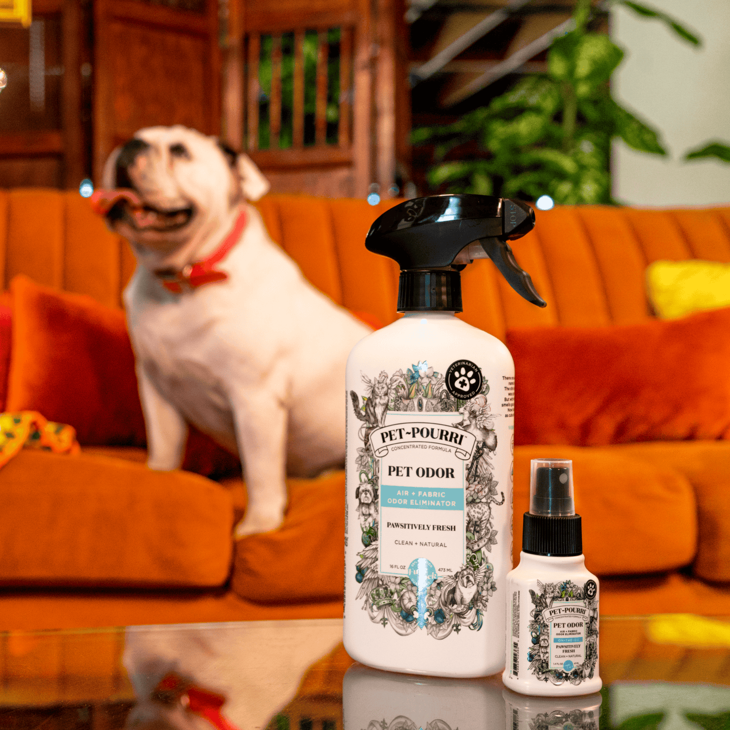 Pet~Pourri Pawsitively Fresh Air+Fabric Odor Refresher 16oz