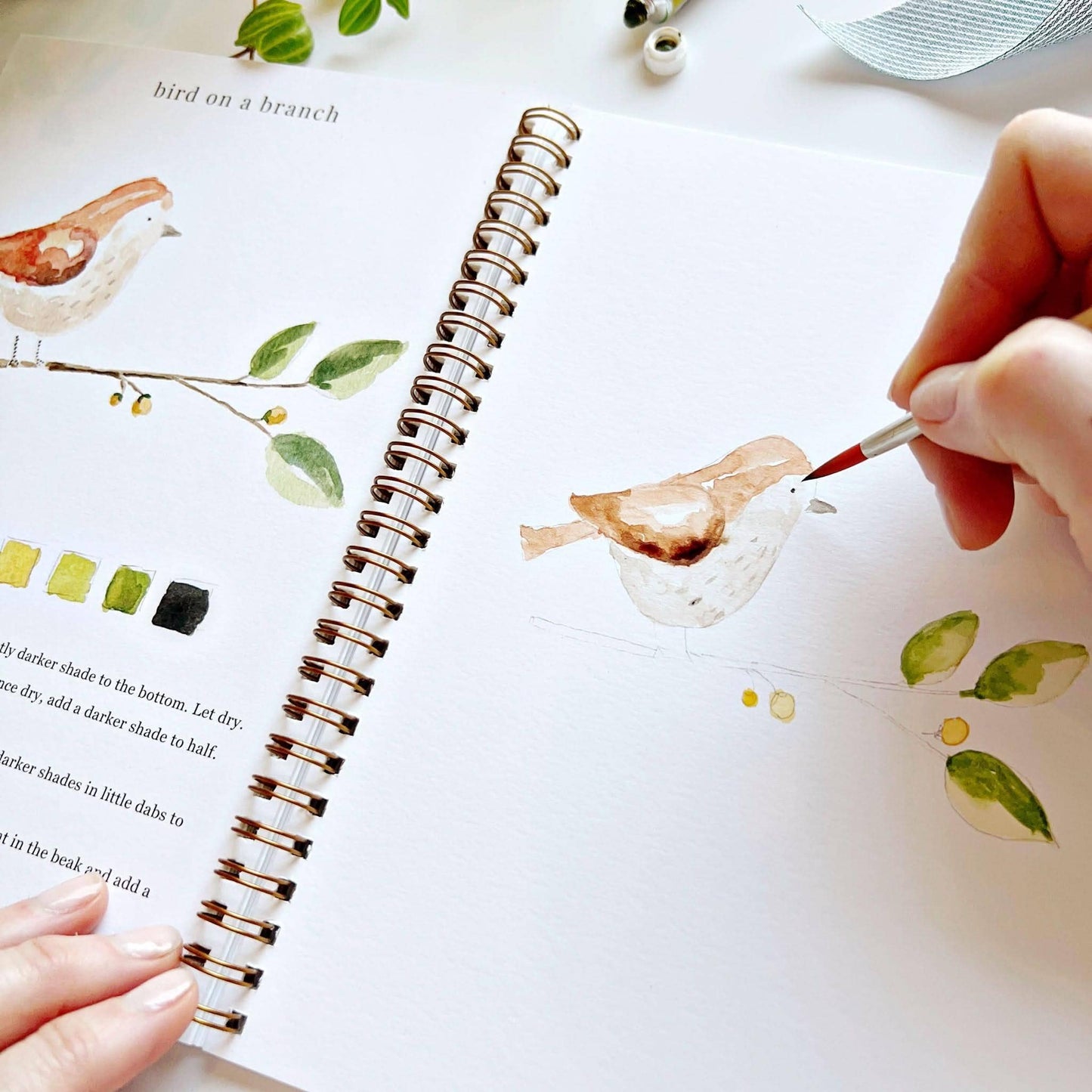 watercolor workbook