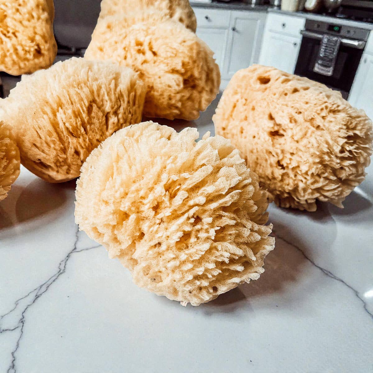 Dead Sea Sponge, All Natural Body Wash Loofah 4-5"
