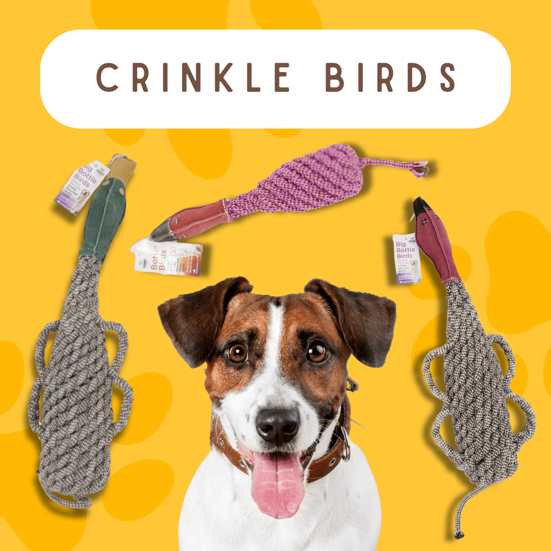Eco-friendly Recycled Bottle Crinkle Bird Toys Pet-Safe and