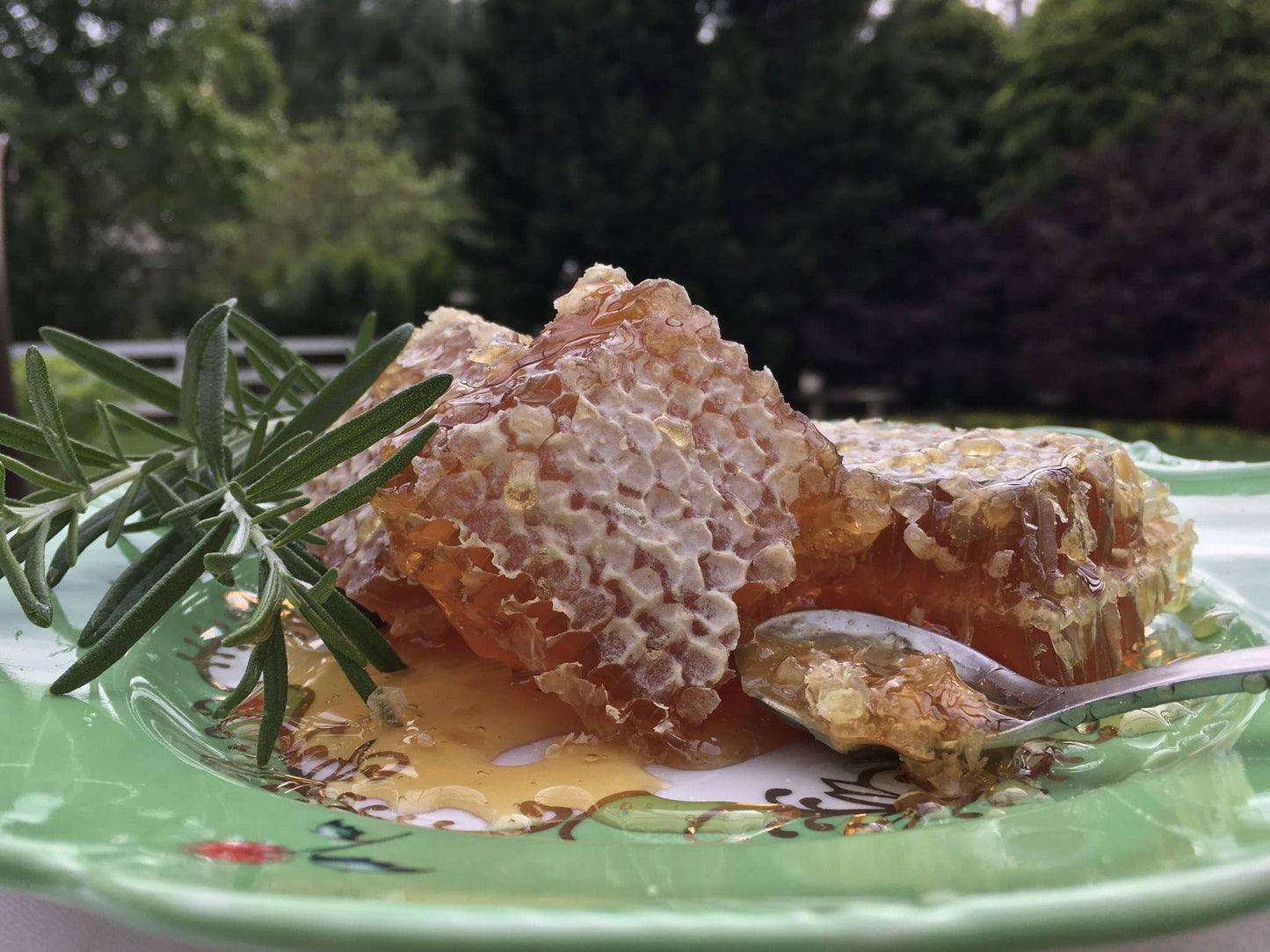 Honeycomb