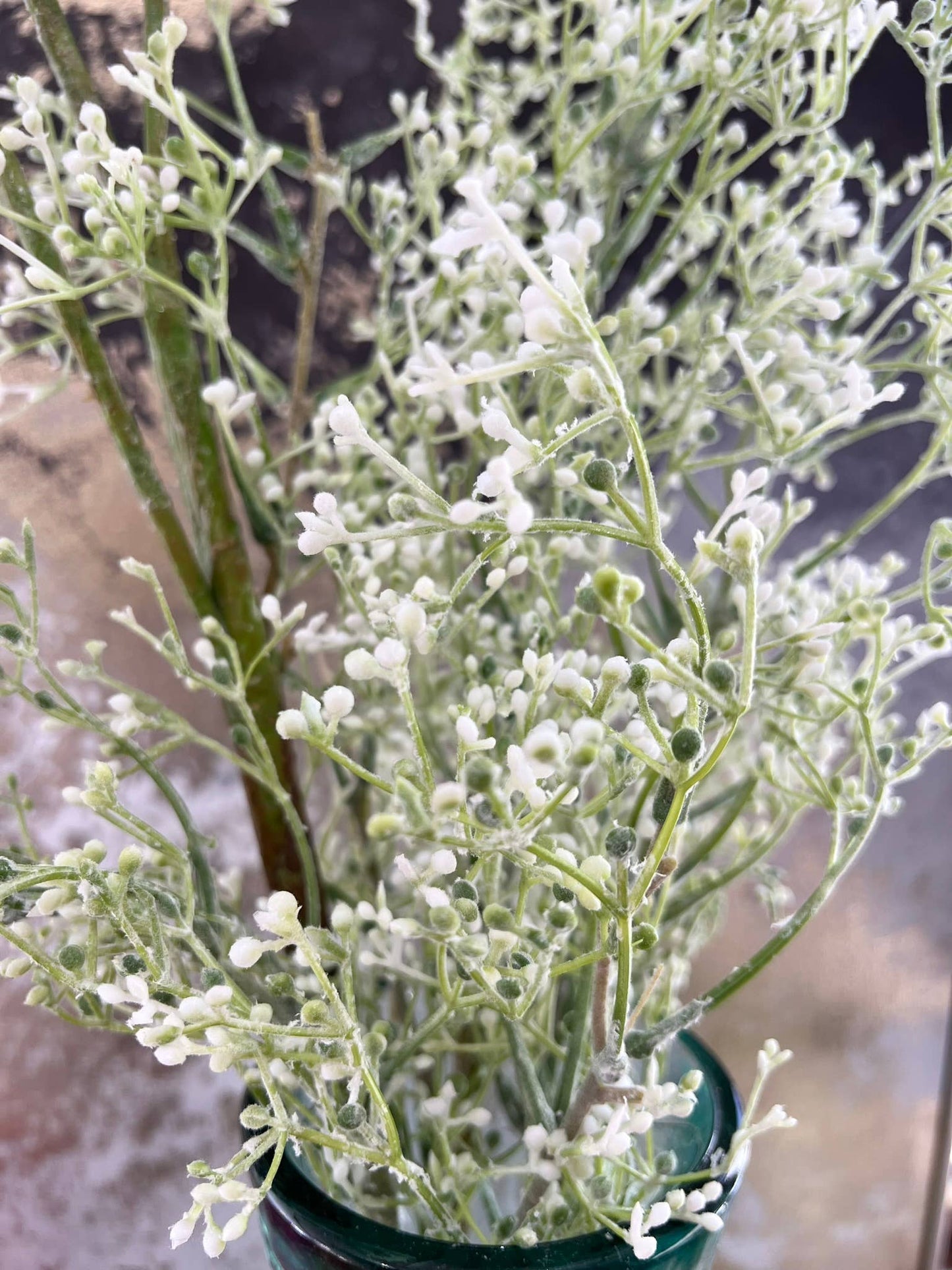 Frosted Seeded Filler-Extra Long or Medium