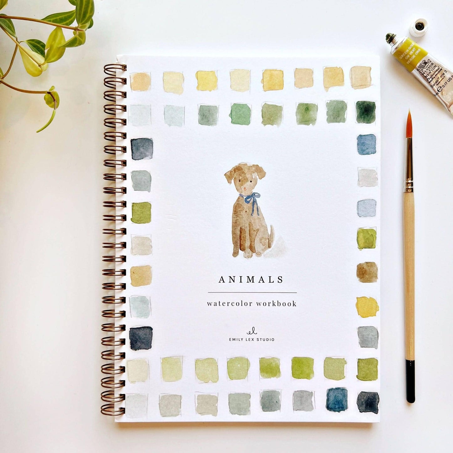 watercolor workbook