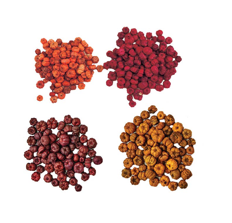 Natural Mini Pumpkin Putka Pods (1 bag equals to 2LBS)