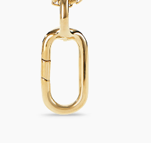 Lexi Charm Collect and Paperclip 18" Waterproof Necklace PVD