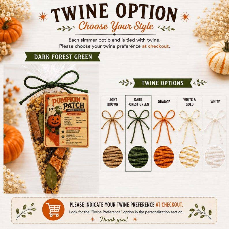 Pumpkin Patch Simmer Pot Kit, natural Fall Simmer Pot Blend