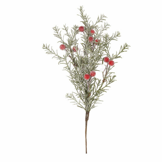 English Yew Pick