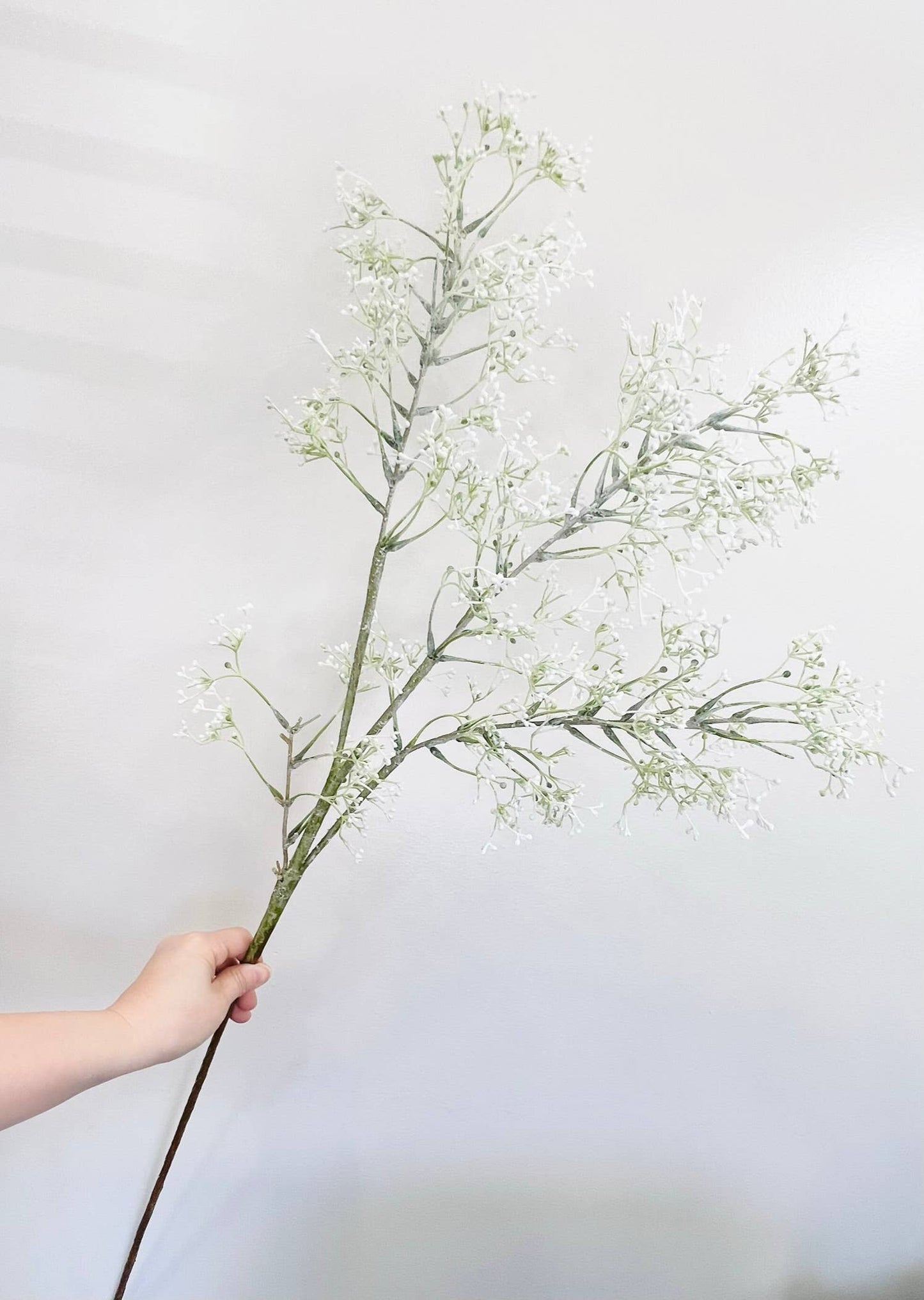 Frosted Seeded Filler-Extra Long or Medium