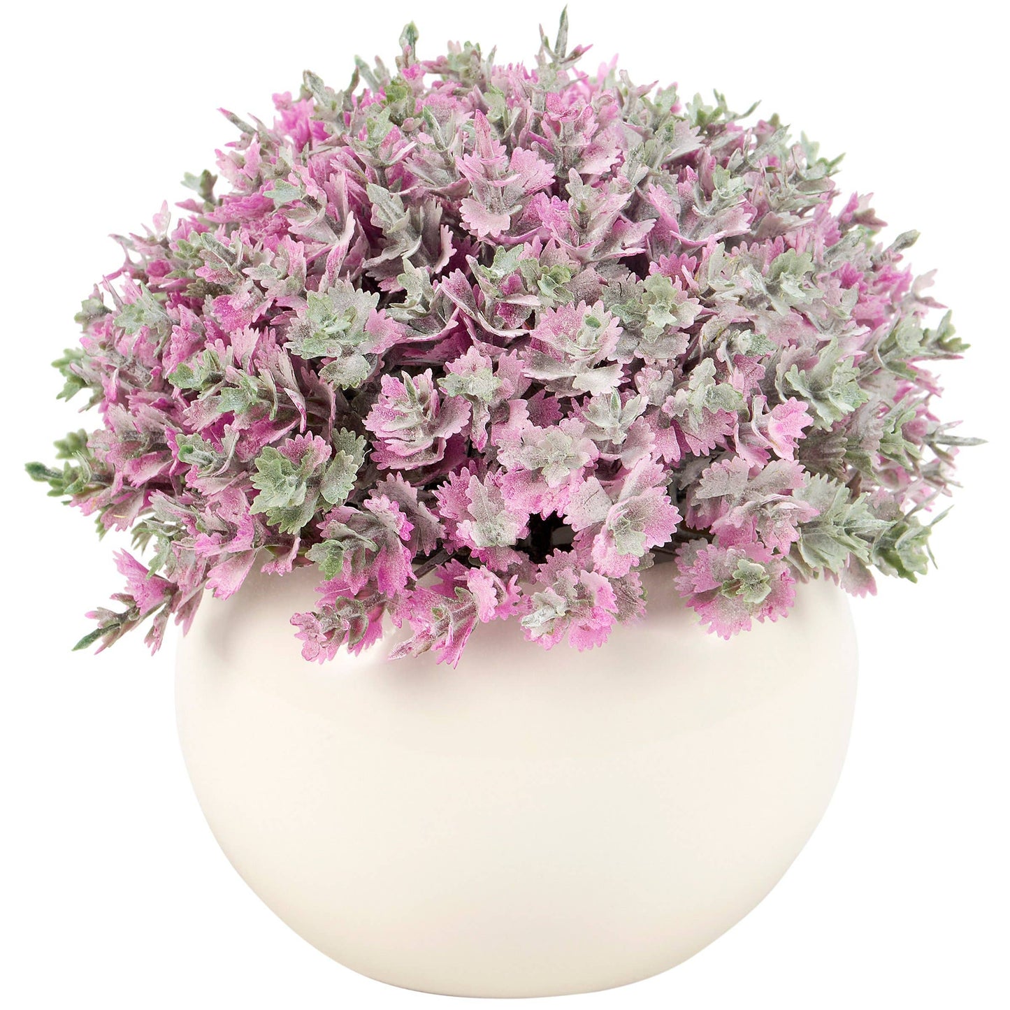 Purple Phlox Vase