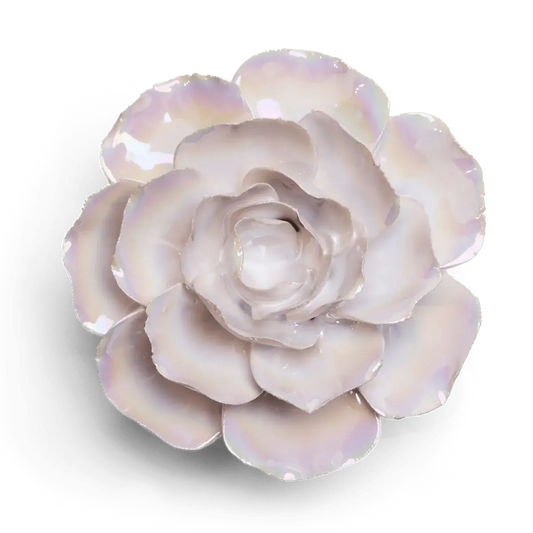Premium Ceramic Flowers - Handcrafted Box Pearl Ranunculus