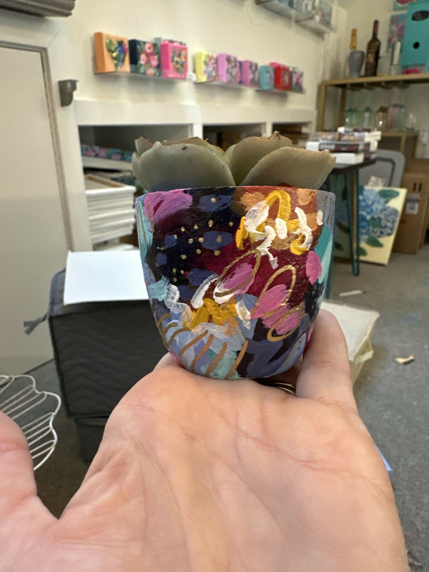 Pierce Paints hand painted succulent