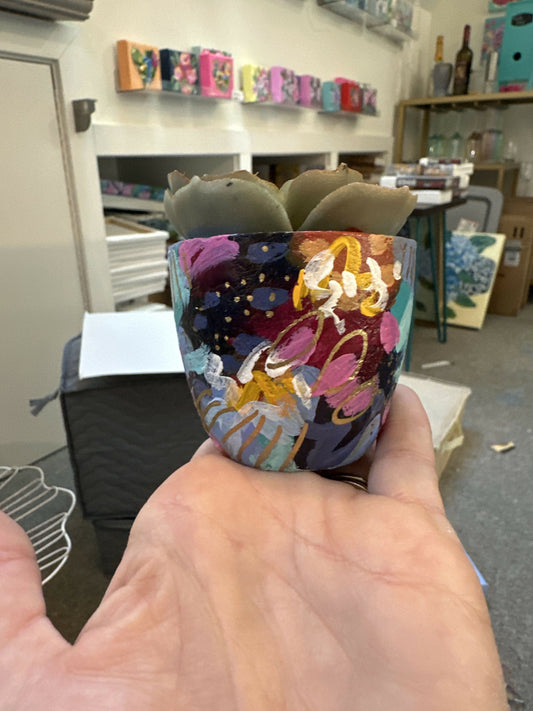 Pierce Paints hand painted succulent