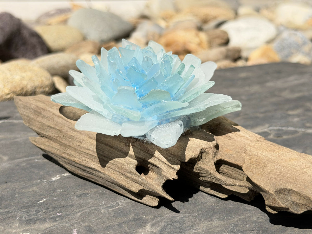 Blue Lotus Driftwood