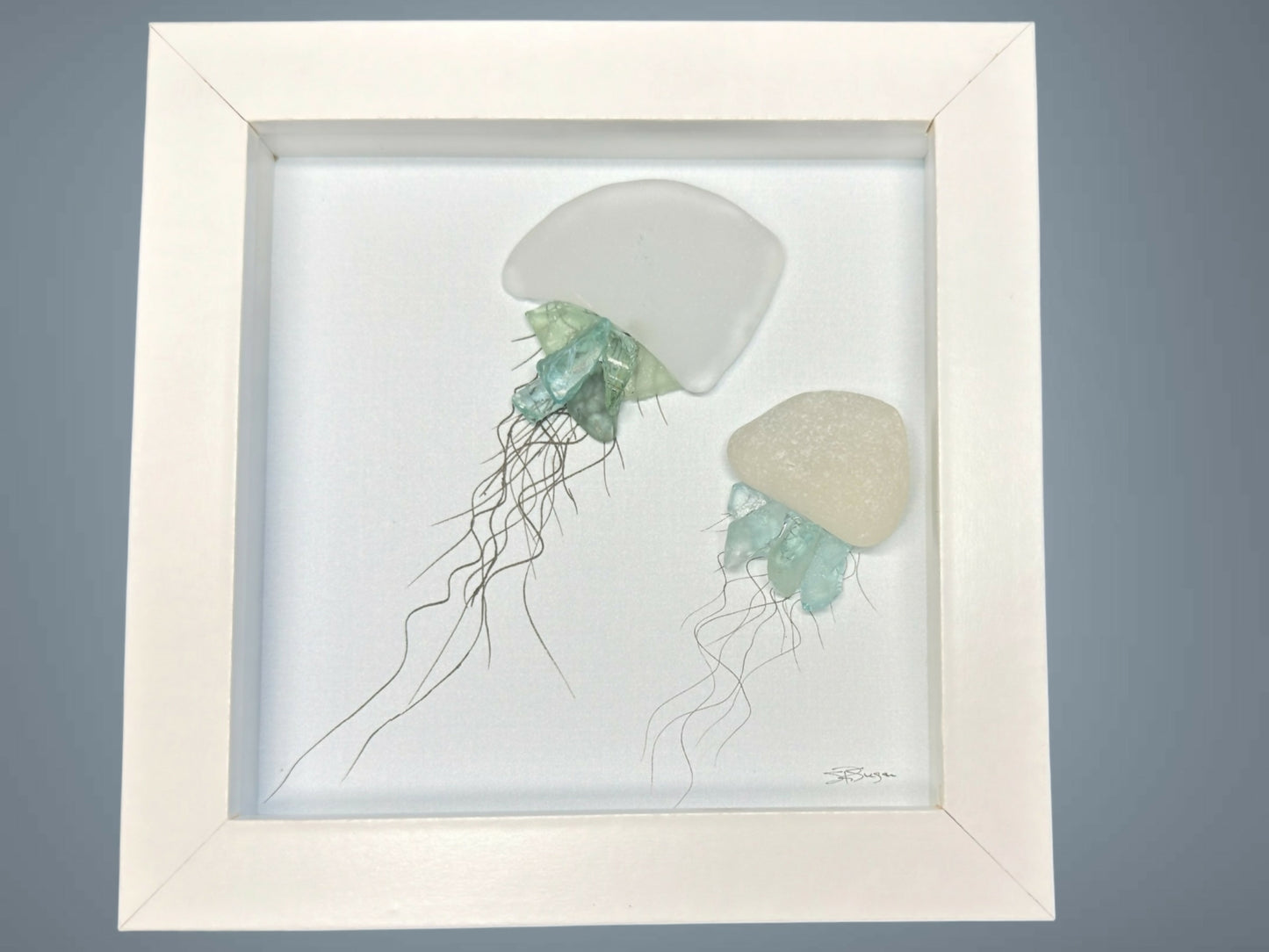 Two Jellyfish 5x5