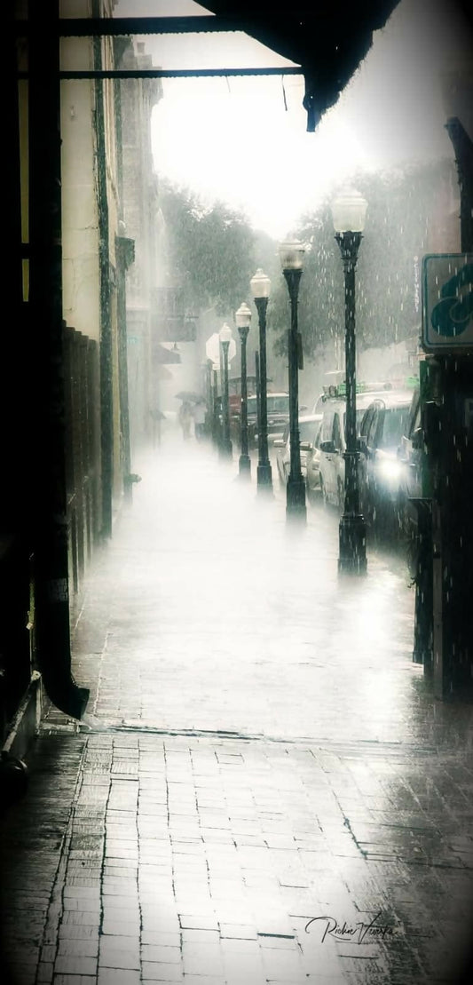 1000004074